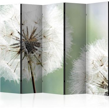 Divider with 5 sections - Two dandelions II [Room Dividers]