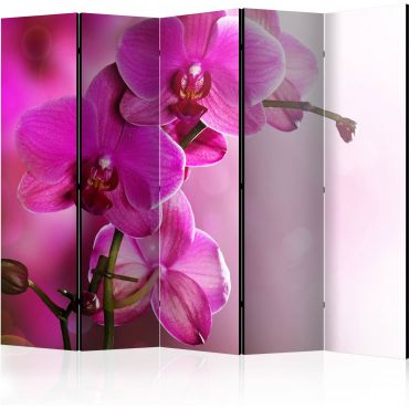 Διαχωριστικό με 5 τμήματα - Pink orchid III [Room Dividers]