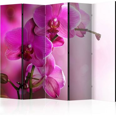 Separator with 5 sections - Pink orchid III [Room Dividers]