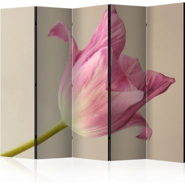 Διαχωριστικό με 5 τμήματα - Pink tulip II [Room Dividers]