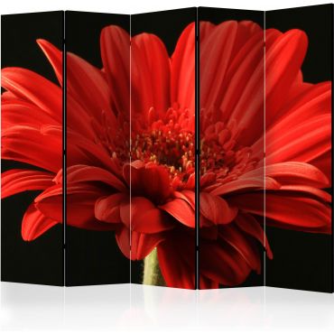Διαχωριστικό με 5 τμήματα - Red gerbera flower II [Room Dividers]
