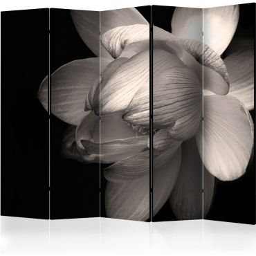 Διαχωριστικό με 5 τμήματα - Lotus flower II [Room Dividers]