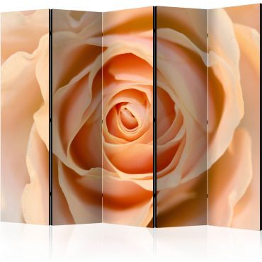 Διαχωριστικό με 5 τμήματα - Peach-colored rose II [Room Dividers]