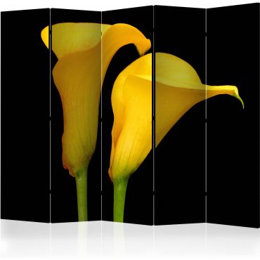 Διαχωριστικό με 5 τμήματα - Two yellow calla flowers on a black background II [Room Dividers]