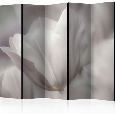 Διαχωριστικό με 5 τμήματα - Tulip - black and white photo II [Room Dividers]