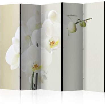 Διαχωριστικό με 5 τμήματα - White orchid II [Room Dividers]