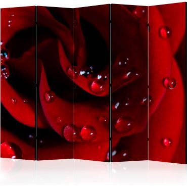 Διαχωριστικό με 5 τμήματα - Red rose with water drops II [Room Dividers]