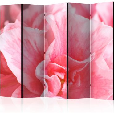 Διαχωριστικό με 5 τμήματα - Pink azalea flowers II [Room Dividers]