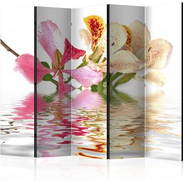 Partition with 5 sections - Tropical flowers - orchid tree (bauhinia) II [Room Dividers]