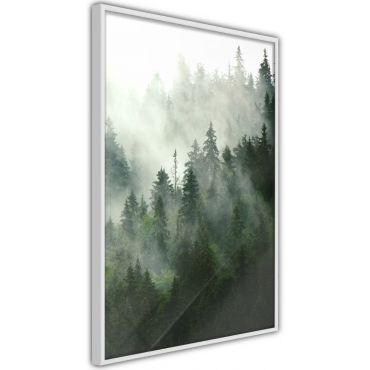 Αφίσα - Steaming Forest