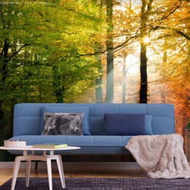 Self-adhesive photo wallpaper - Forest Colors