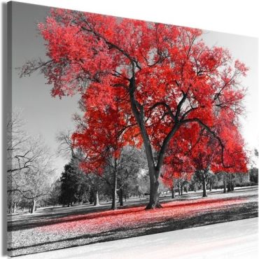Πίνακας - Autumn in the Park (1 Part) Wide Red