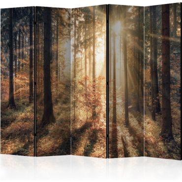 Διαχωριστικό με 5 τμήματα - Autumnal Forest III [Room Dividers]