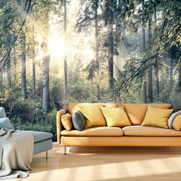 Self-adhesive photo wallpaper - Tales of a Forest