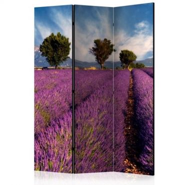 Διαχωριστικό με 3 τμήματα - Lavender field in Provence, France [Room Dividers]