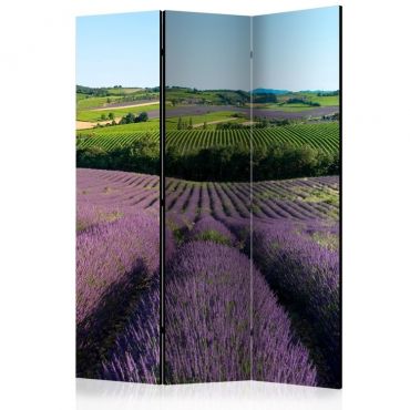 Διαχωριστικό με 3 τμήματα - Lavender fields [Room Dividers]
