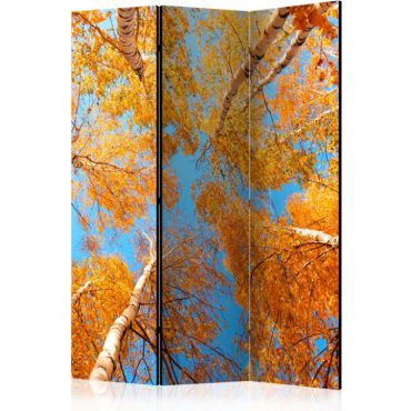 3-part divider - Autumnal treetops [Room Dividers]