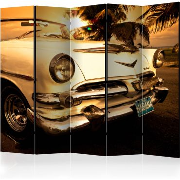 Separator with 5 sections - Viva Havana! II [Room Dividers]