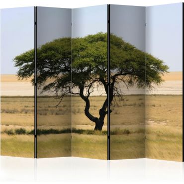 Διαχωριστικό με 5 τμήματα - Etosha National Park, Namibia II [Room Dividers]