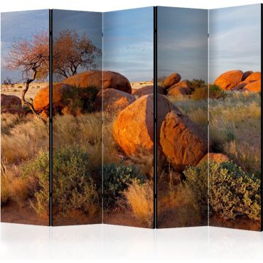 Διαχωριστικό με 5 τμήματα - African landscape, Namibia II [Room Dividers]