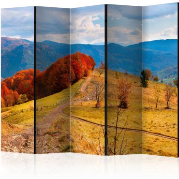 Διαχωριστικό με 5 τμήματα - Autumn landscape in the Carpathian mountains II [Room Dividers]