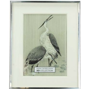 Frame Cormorante