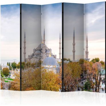 Διαχωριστικό με 5 τμήματα - Hagia Sophia - Istanbul II [Room Dividers]