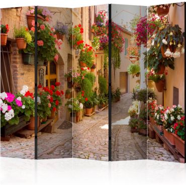 Διαχωριστικό με 5 τμήματα - The Alley in Spello (Italy) II [Room Dividers]