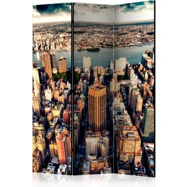Διαχωριστικό με 3 τμήματα - Bird's Eye View of New York [Room Dividers]