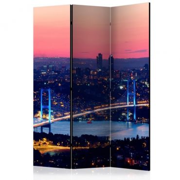 Διαχωριστικό με 3 τμήματα - Bosphorus Bridge [Room Dividers]