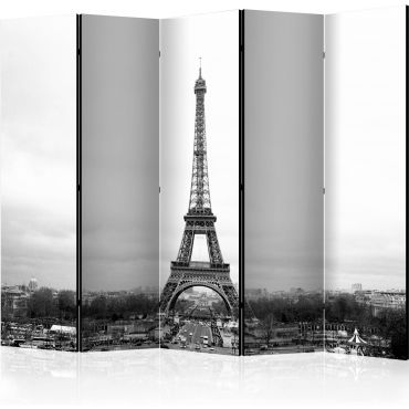 Διαχωριστικό με 5 τμήματα - Paris: black and white photography II [Room Dividers]