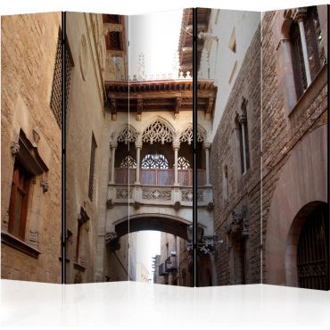 Διαχωριστικό με 5 τμήματα - Barcelona Palau generalitat in gothic Barrio II [Room Dividers]