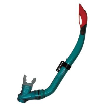 Snorkel Dolphin