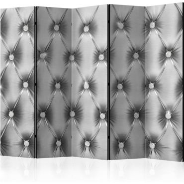Partition with 5 sections - Silver Luxury II [Room Dividers]