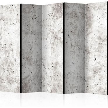 Διαχωριστικό με 5 τμήματα - Urban Style: Concrete II [Room Dividers]