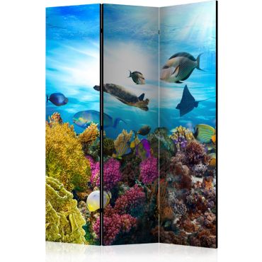 Διαχωριστικό με 3 τμήματα - Coral reef [Room Dividers]