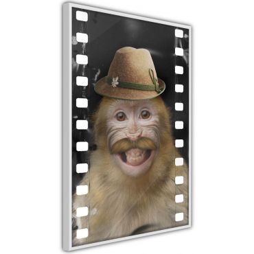 Αφίσα - Dressed Up Monkey