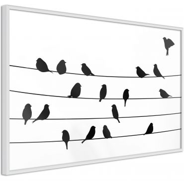 Αφίσα - Birds Council Meeting