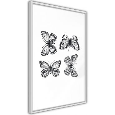 Αφίσα - Butterfly Collection III B