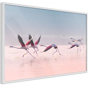 Αφίσα - Flamingos Breaking into a Flight