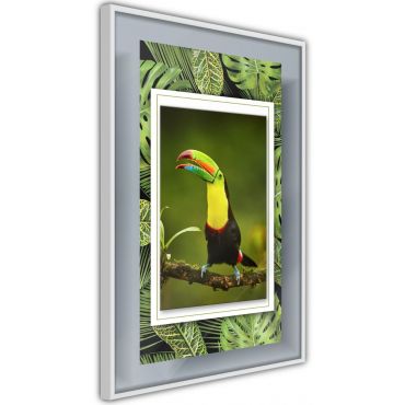 Αφίσα - Toucan in the Frame