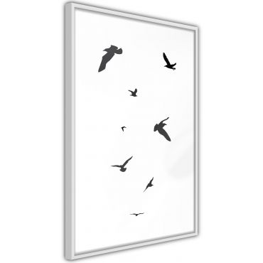 Αφίσα - Birds