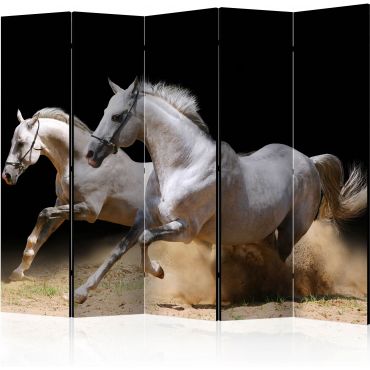 Διαχωριστικό με 5 τμήματα - Galloping horses on the sand II [Room Dividers]