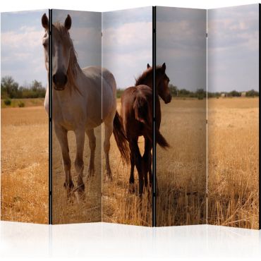 Διαχωριστικό με 5 τμήματα - Horse and foal II [Room Dividers]