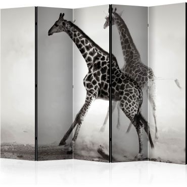 Διαχωριστικό με 5 τμήματα - Giraffes II [Room Dividers]