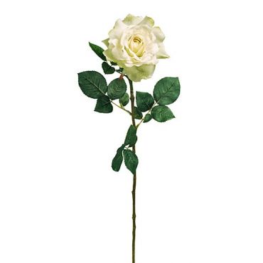 Διακοσμητικό Τριαντάφυλλο Georgia Mint