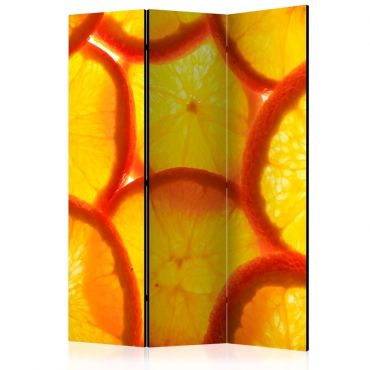 Διαχωριστικό με 3 τμήματα - Orange slices [Room Dividers]