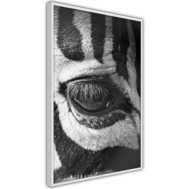 Αφίσα - Zebra Is Watching You