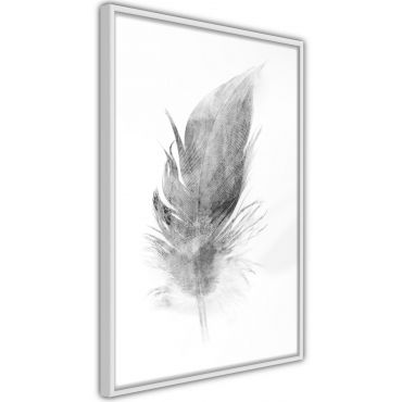 Αφίσα - Lost Feather (Grey)