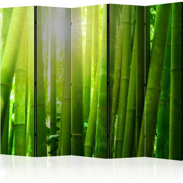 Διαχωριστικό με 5 τμήματα - Sun and bamboo [Room Dividers]
